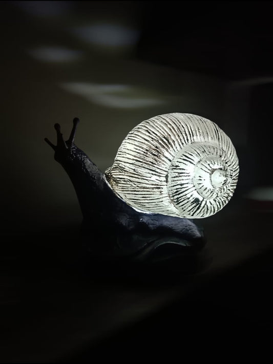 Durmiente de Caracol