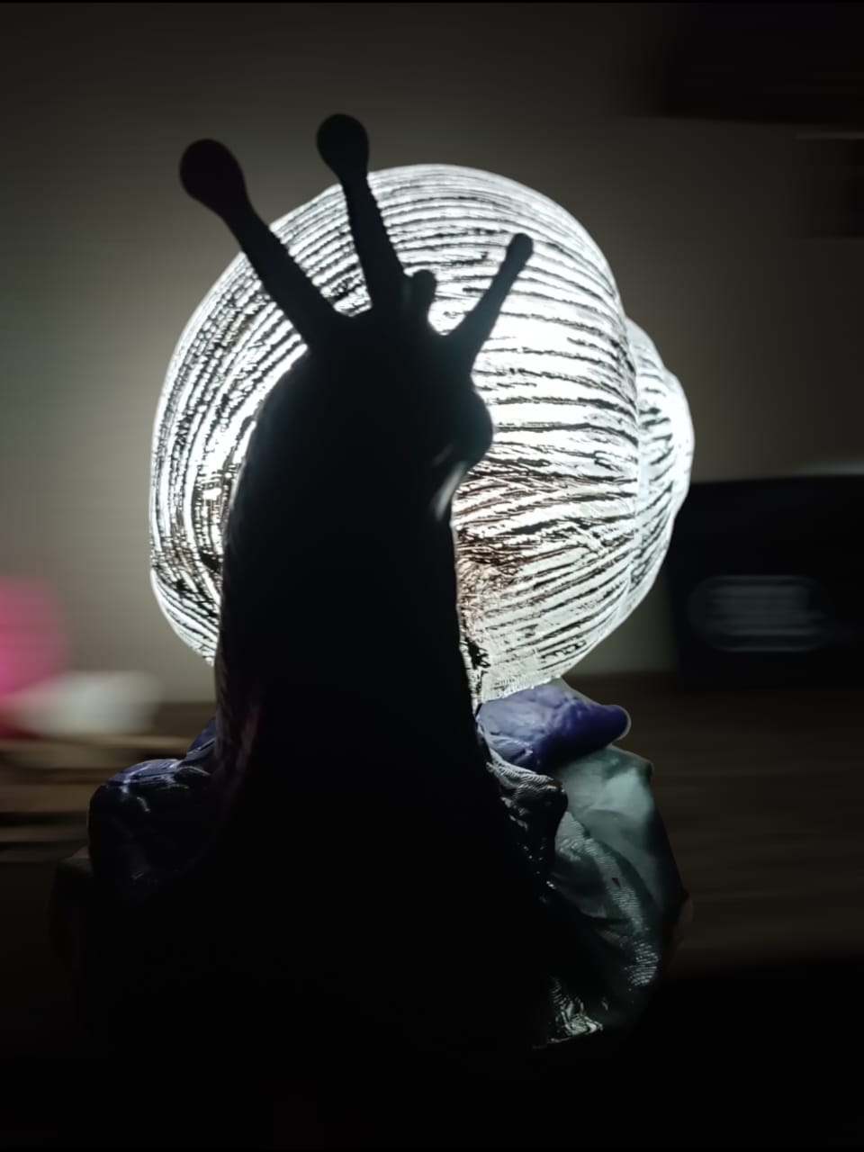 Durmiente de Caracol